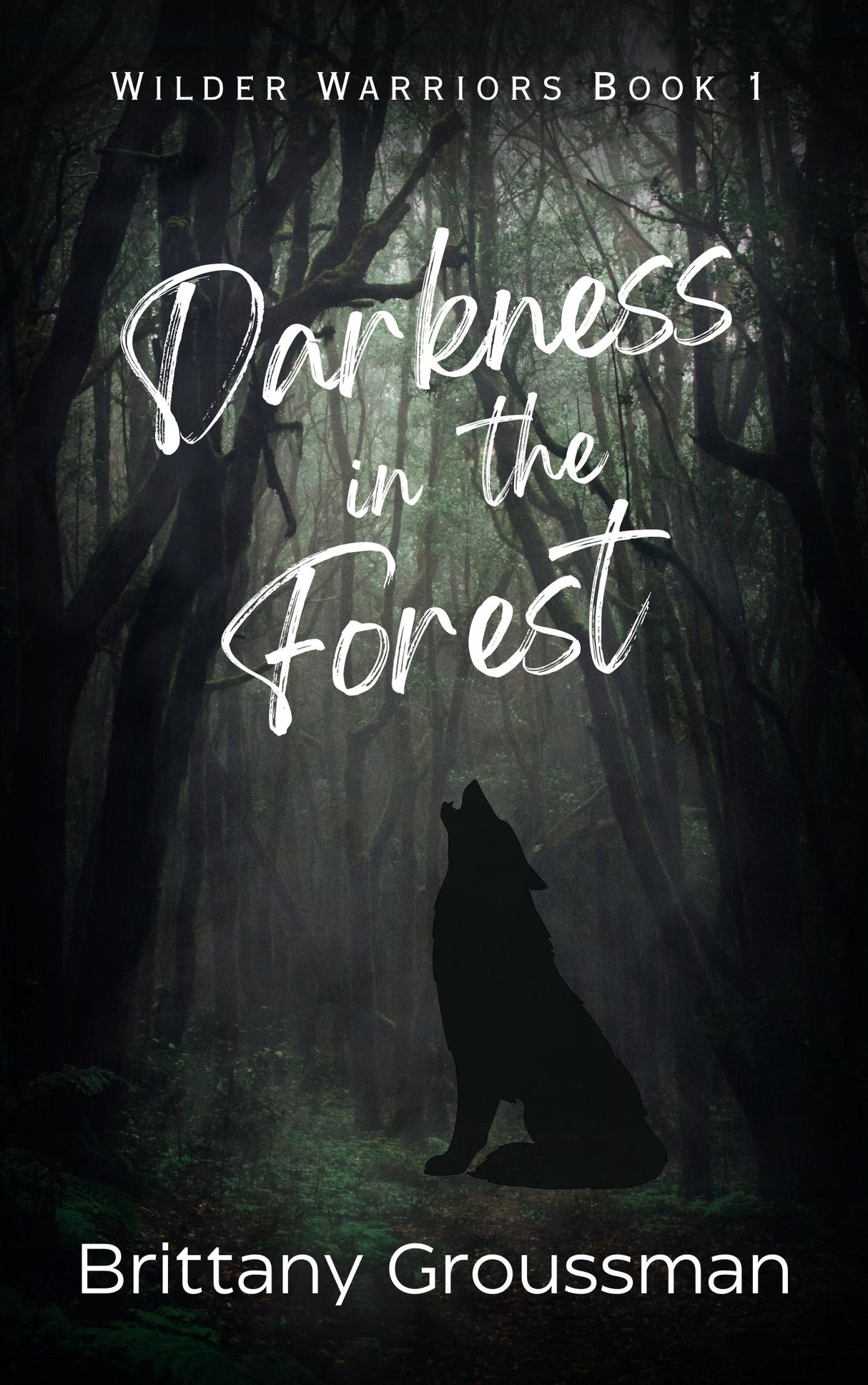 Darkness in the Forest