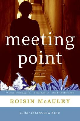 Meeting Point by McAuley, Roisin