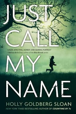 Just Call My Name by Goldberg Sloan, Holly