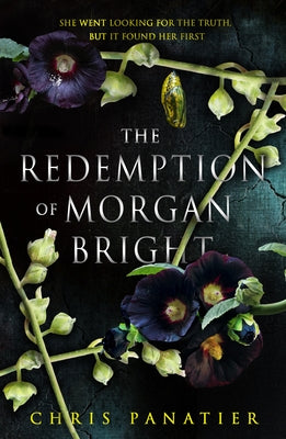 The Redemption of Morgan Bright by Panatier, Chris