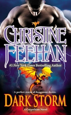 Dark Storm by Feehan, Christine