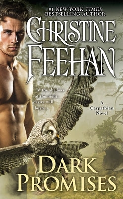 Dark Promises by Feehan, Christine