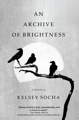 An Archive of Brightness by Socha, Kelsey