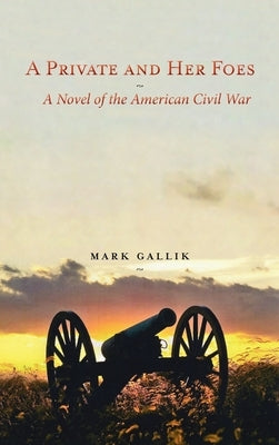 A Private and Her Foes: A Novel of the American Civil War by Gallik, Mark