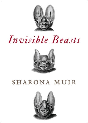 Invisible Beasts: Tales of the Animals That Go Unseen Among Us by Muir, Sharona