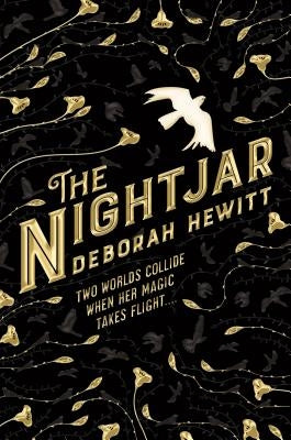 The Nightjar by Hewitt, Deborah